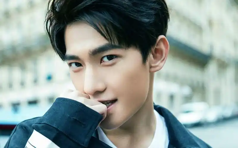 帅的男明星,中国公认第一帅哥(杨洋/肖战/严屹宽/陈晓内娱四大美男)