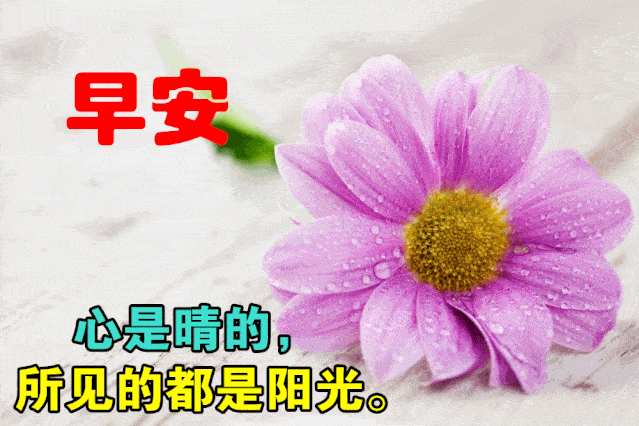 2020清晨最美早上好动画表情图片带字句句暖心的早安祝福语
