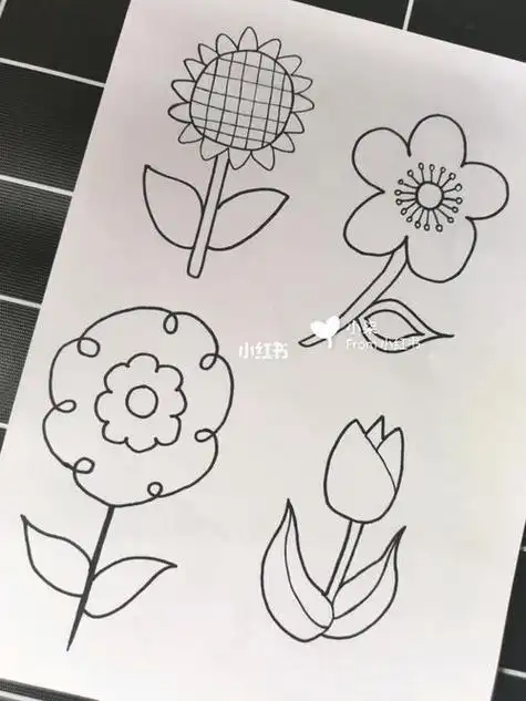 各种花的简笔画最简单易学