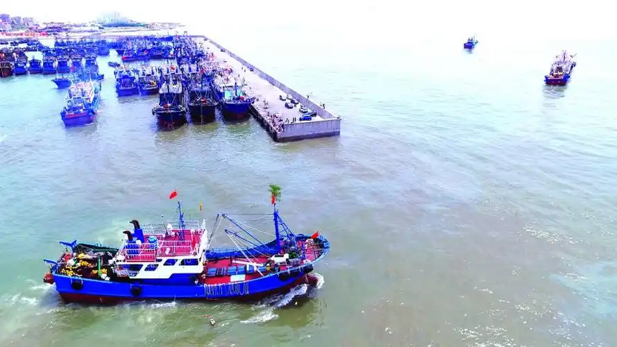 石狮206艘灯光围网刺网渔船开渔