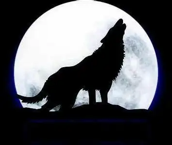 想画一幅油彩画,是一只狼的背影背对着月亮