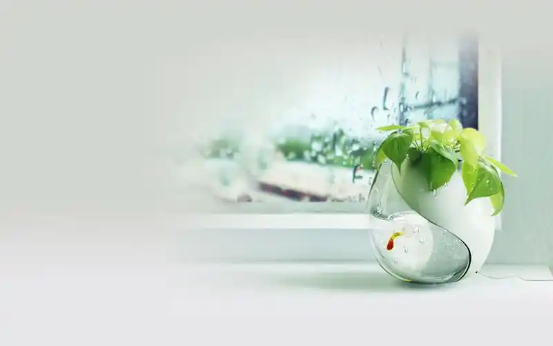 【流年倡议】如何让父母安然过冬