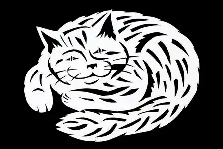 黑白猫尾巴图片-黑白猫尾巴素材-黑白猫尾巴插画-摄图新视界