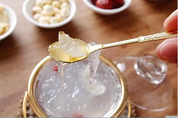 鲜炖燕窝的做法大全