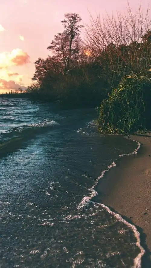 秋色唯美意境高清苹果手机壁纸