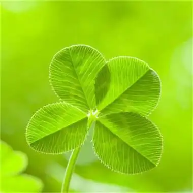 2023年最好运气头像 2023年最吉祥好运的微信头像图片_微信头像_头像