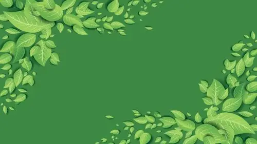 精美的绿色叶子ppt背景图片