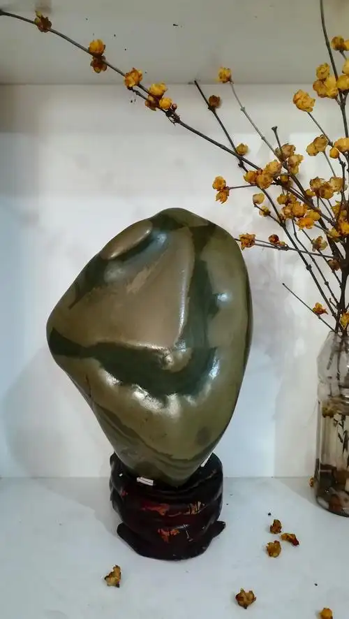 长江乐山奇石赏析,四川水鸟