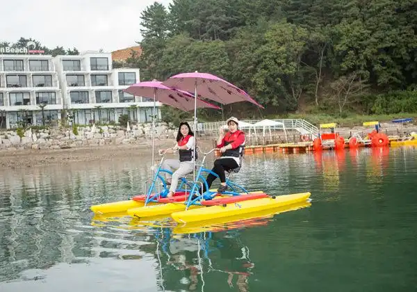 适用海边水库风景区哈雷水上自行车单人水上自行车脚踏单车