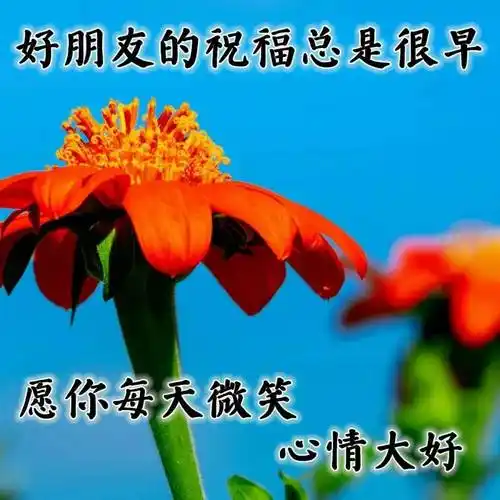 早安动态表情包 送给朋友的早安祝福图片 每天早上好祝福问候_人生