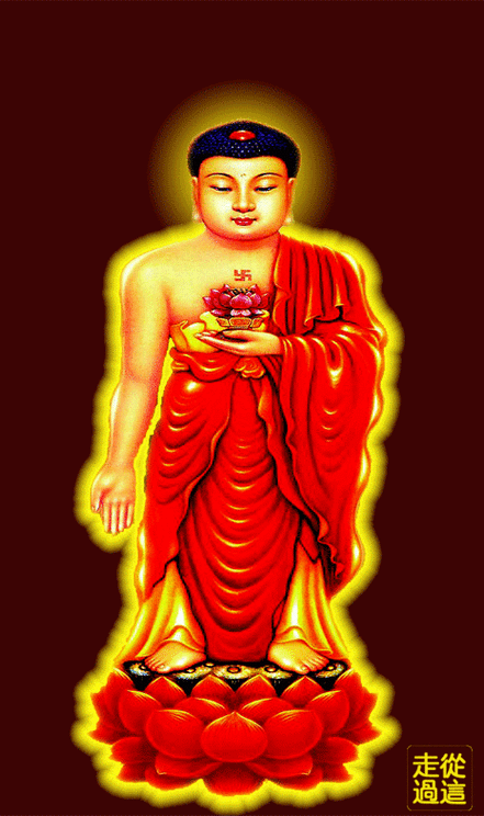 净土五经净土五经分别指《无量寿经》,《观无量寿佛经》,《阿弥陀经