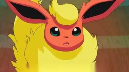 宝可梦:八只伊布的进化型,神奇宝贝留宿会