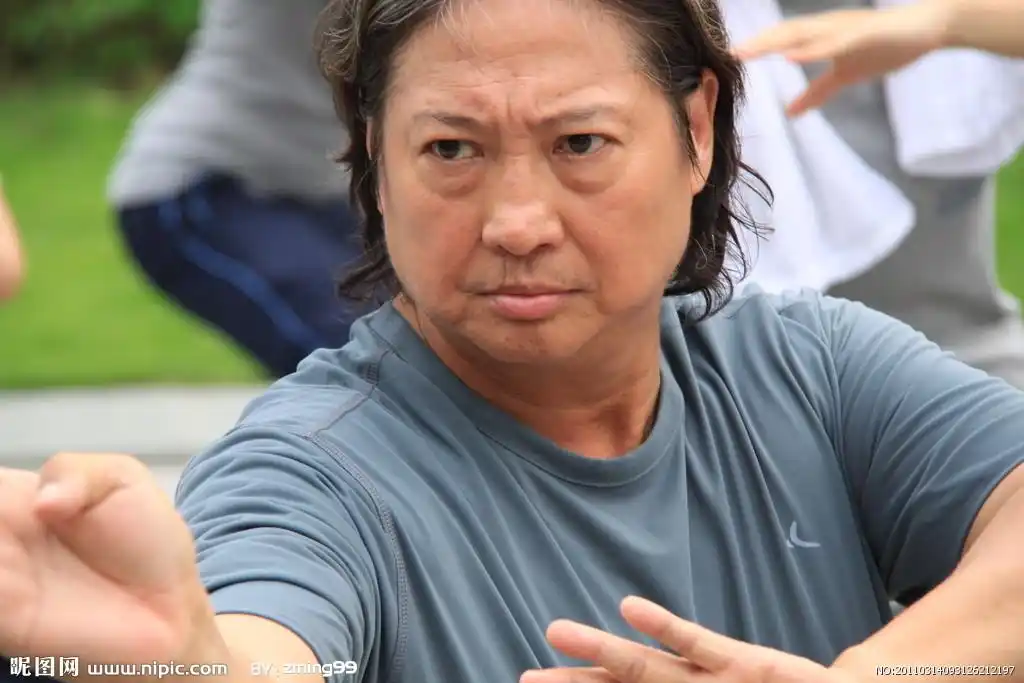 洪金宝( 国际著名功夫巨星,兼动作导演,洪金宝成名电影作品:公主与七