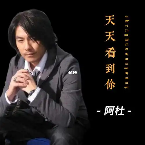 磁带试听阿杜天天看到你