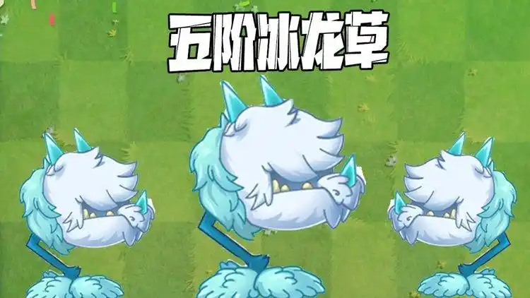植物大战僵尸:五阶冰龙草测评!