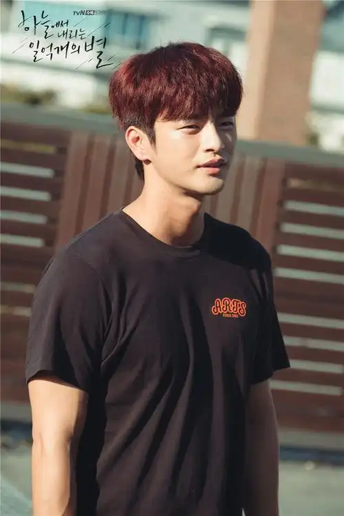 从天而降的一亿颗星星资料页_娱乐资料库_新浪娱乐_新浪网