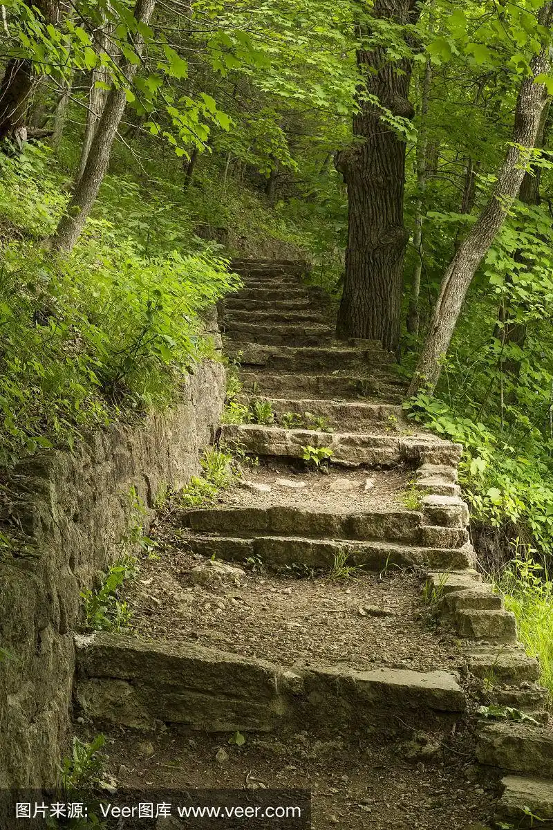 台阶,石头,小路,风景,垂直画幅