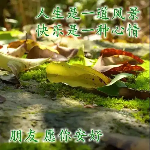 早上好朋友最新最漂亮的图片表情早安问候祝福语短信