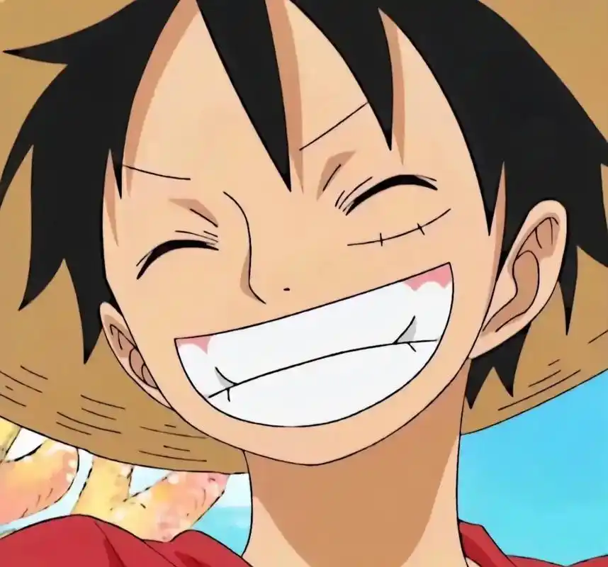 只要路飞还在笑,一切就没那么糟#海贼王 #路飞 - 抖音