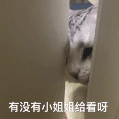 有没有小姐姐给看呀_小姐姐_有没有表情