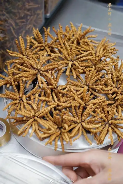 虫草,非奢侈之物