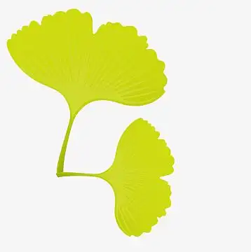 树叶ppt素材_树叶ppt图片元素-觅元素