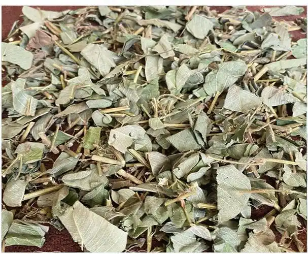 广西金钱草种草药自然晒干消石鸡内金清石农家玉米须 金钱草碎1斤