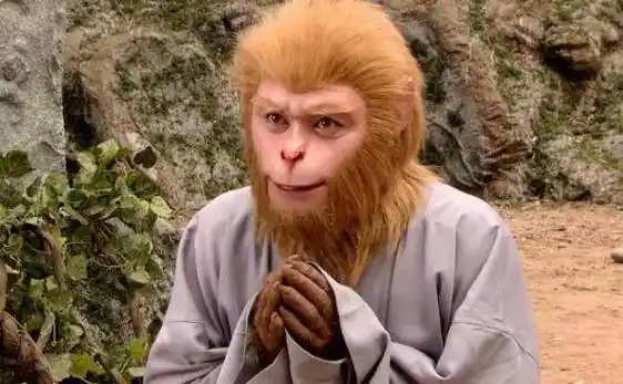 孙猴子_祖师_花果山