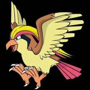 神奇宝贝鸟类简笔画