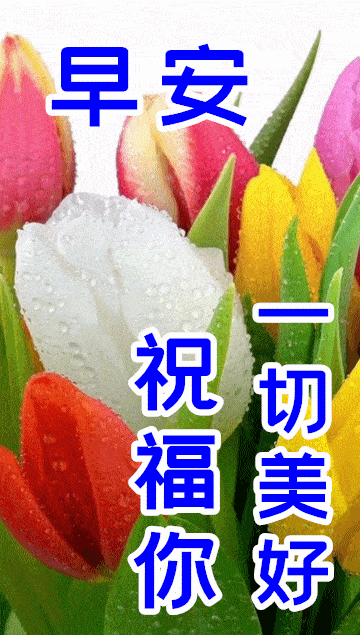 2021正月十一早上好祝福语图片带字温馨漂亮早上好问候动态图带字