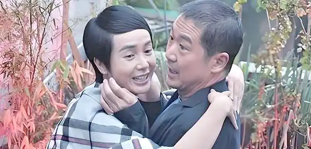 张国立与蒋雯丽:默契演绎夫妻情感的非凡旅程