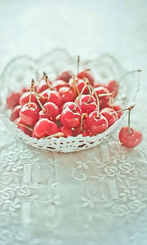 野樱桃唯美清新图片手机壁纸下载安卓