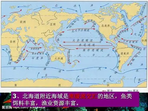 政史地 初一政史地 耕海牧渔ppt 3,北海道附近海域是寒暖流交汇的地区