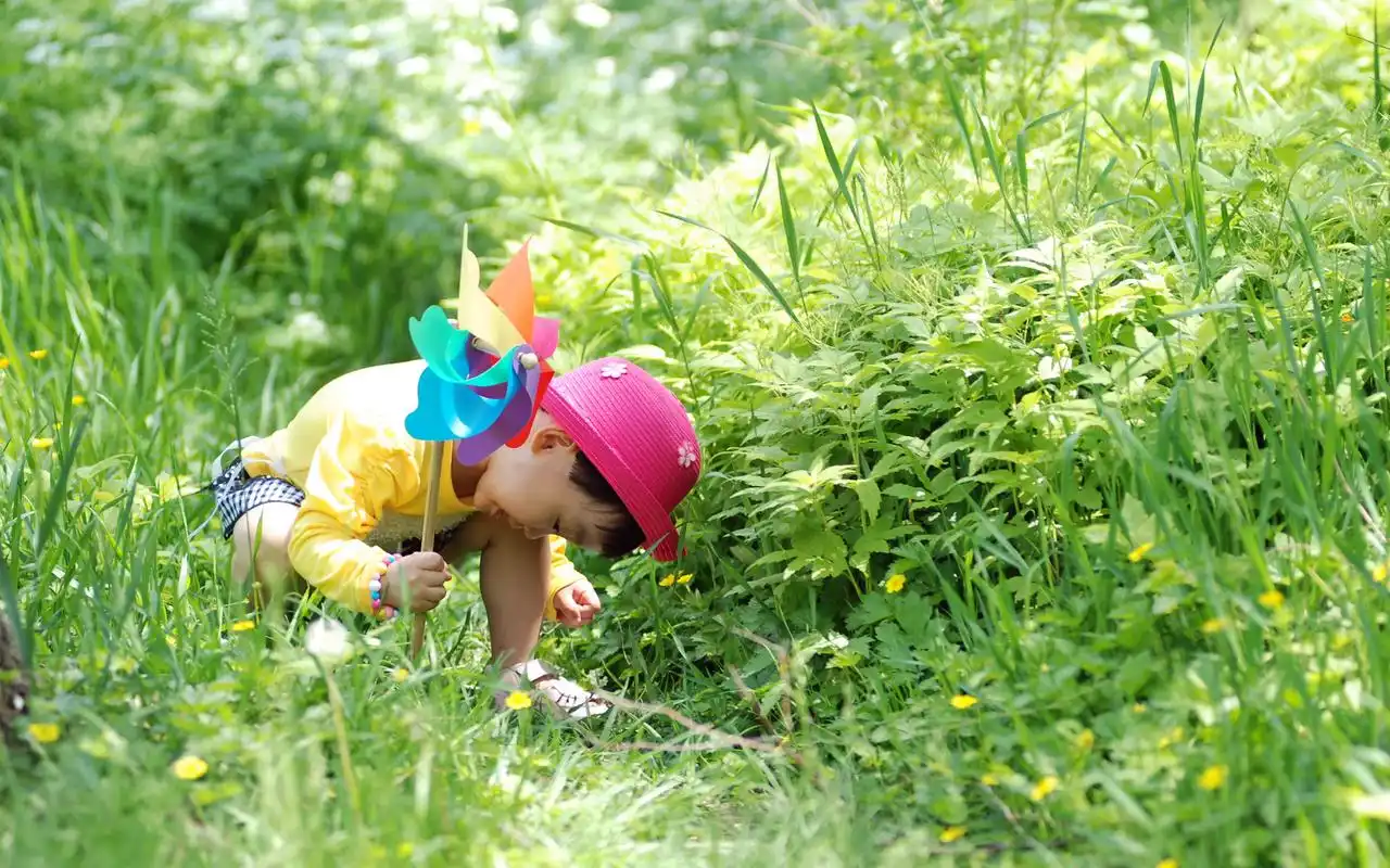 阳光下的可爱宝宝桌面壁纸