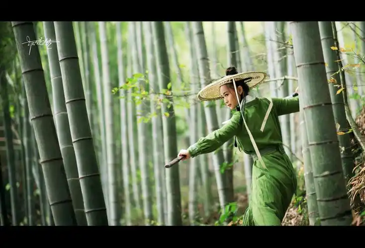 标题:《十面埋伏》