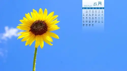 2016年8月日历向日葵图片桌面壁纸
