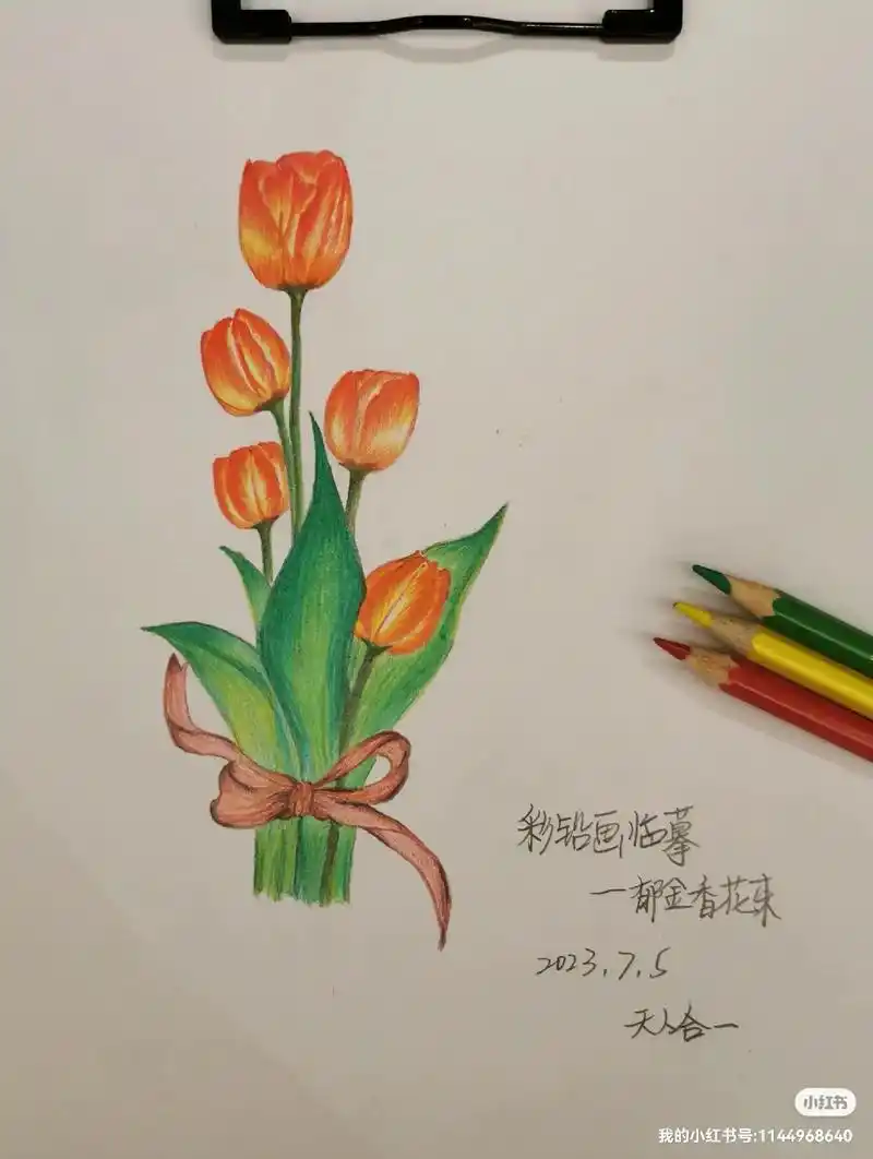 彩铅画临摹——郁金香花束979797.画给xh的专属花束92 - 抖音