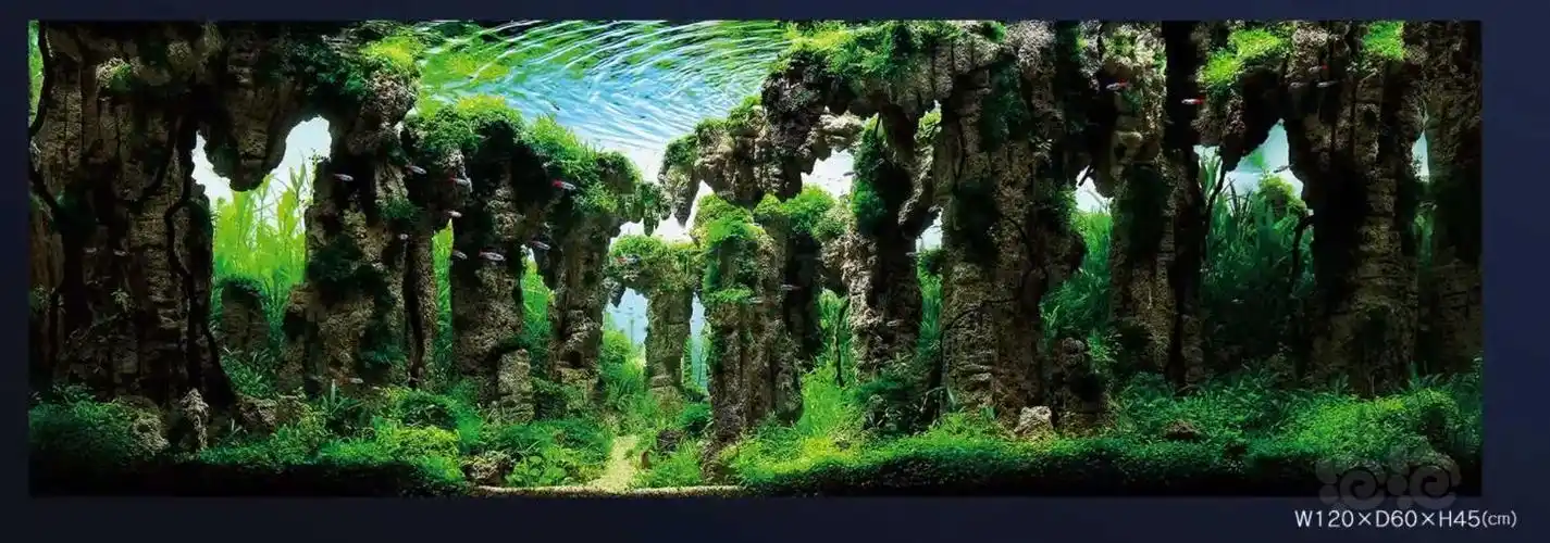 草缸石景造景欣赏持续更新part①