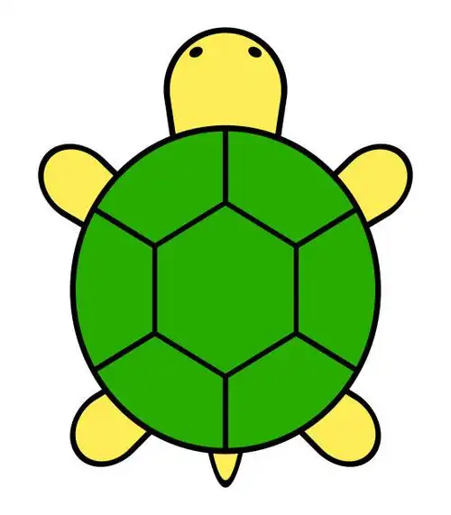 海龟 卡通照片