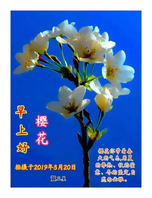 100张早上好问候图片分享(6) - 美篇