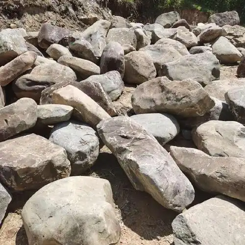 天然园林景观石天合鹅卵石水冲石草坪点缀石