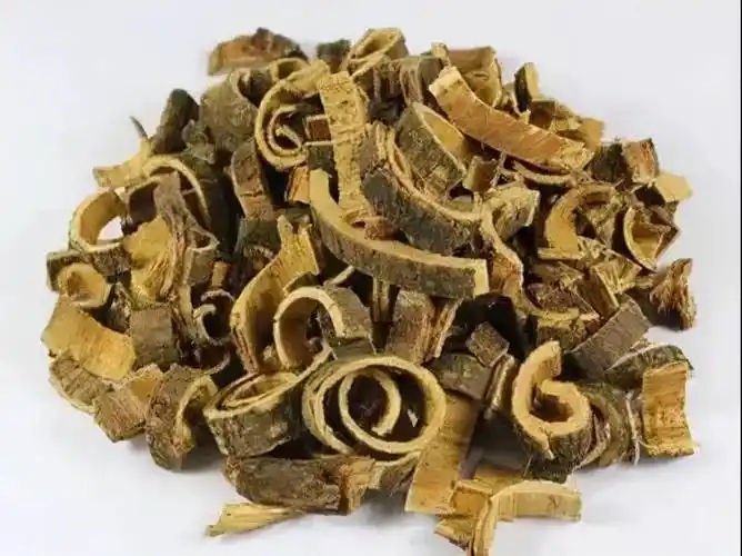 每天学习一味中药合欢皮