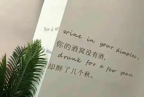 8个字高冷伤感句子(一瞬间情绪崩溃的句子)