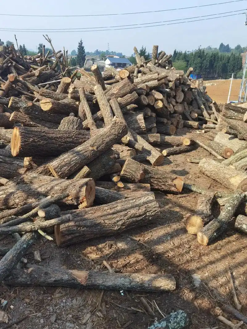 龙广镇大量收购菌材料,青冈木,板栗木,硬杂木,联系电话180 - 抖音