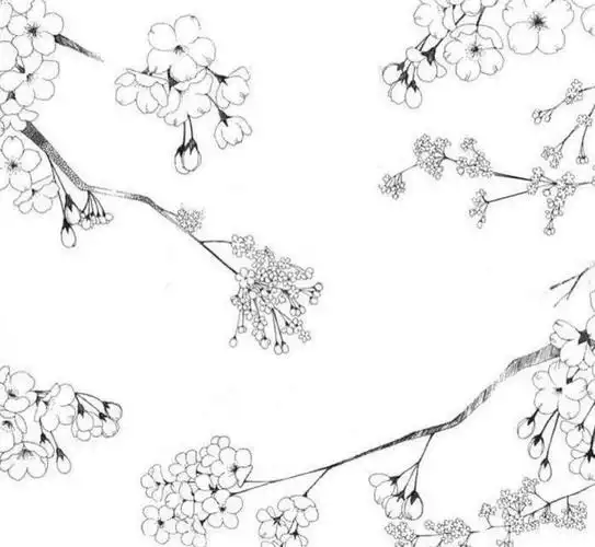 一些花枝的黑白线稿图,来源多是漫画/素材集,具体来源未知,仅供参考