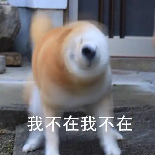 我不在我不在我不听我不听67doge摇头拒绝表情