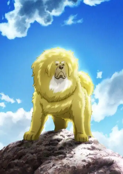 中日合拍藏獒多吉将在日本上映