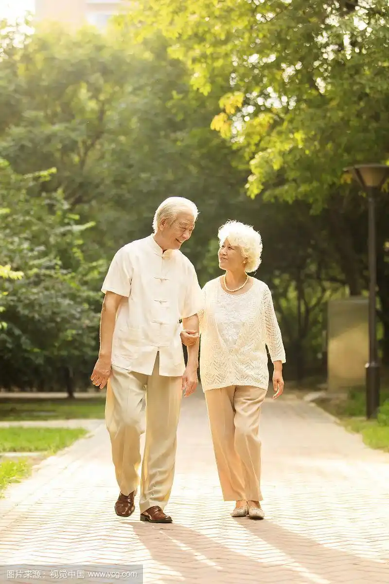 相伴的老年伴侣