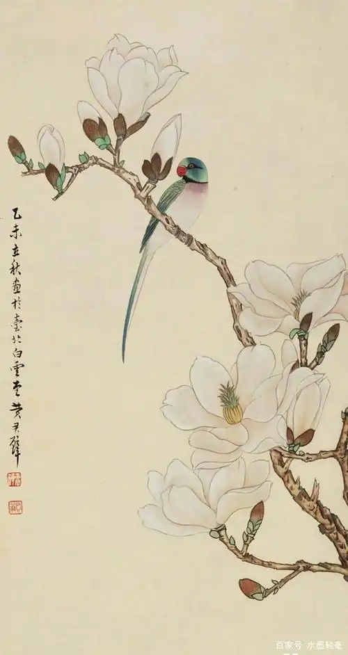 「欣赏」精品工笔玉兰图(50幅)