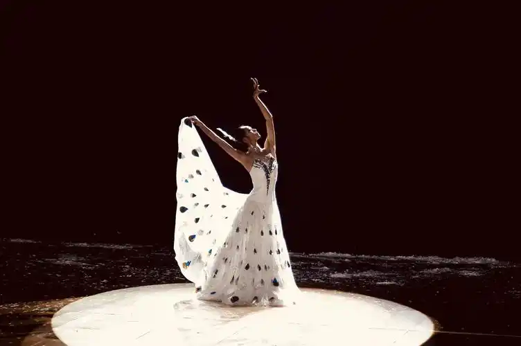 首发〕杨丽萍舞台艺术之美